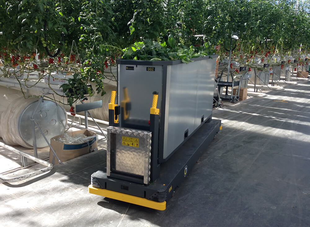 Qii-Drive Deleaf Leaf discharge container