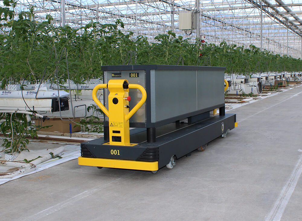 Qii-Drive tomato container harvest cart