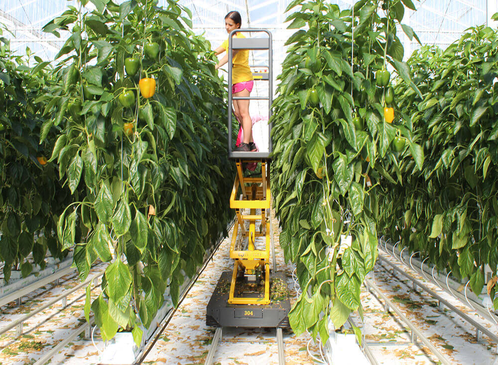 Qii-Lift buisrailwagen pipe rail trolley inspectiekar onderhoudskar planten inspecteren op hoogte