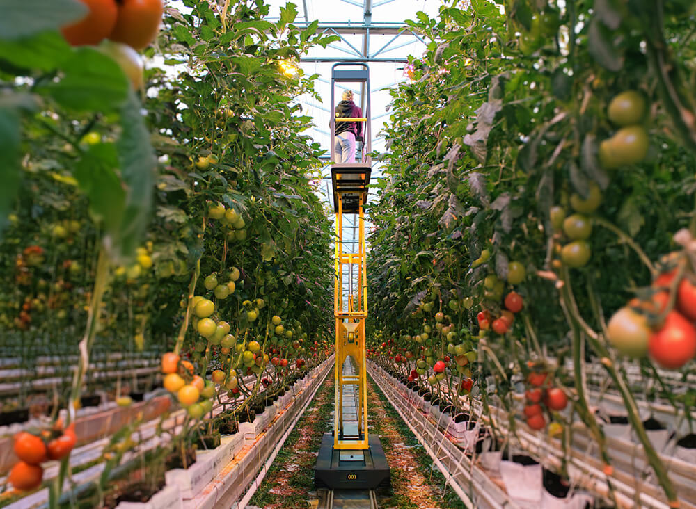 Qii-Lift Z pipe rail trolley with high working platform