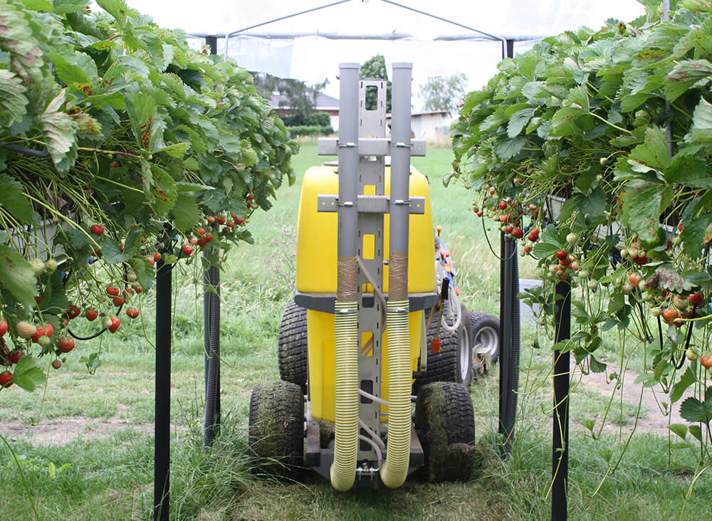 TSL strawberry spraying robot